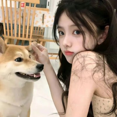 万花锦绣 在线观看