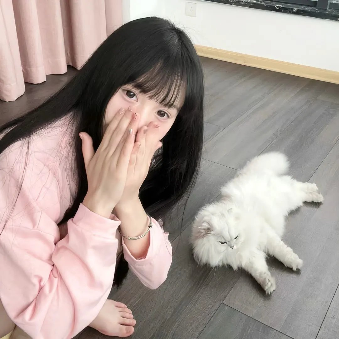断肠孤凤 在线观看