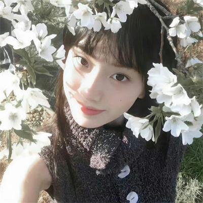 恶兔要你命 在线观看